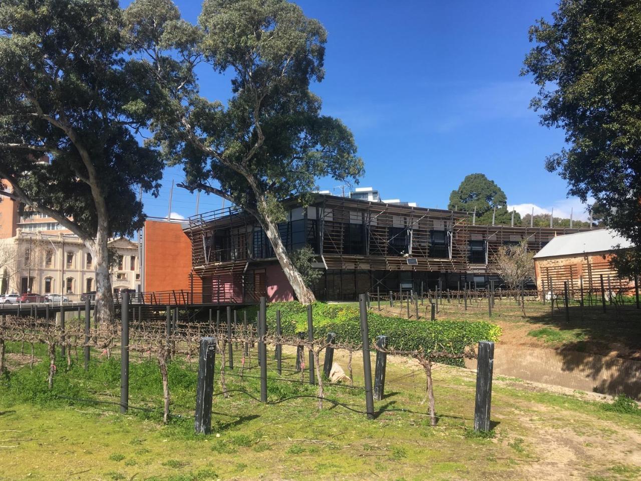Adelaide Style Accommodation-Close To City-North Adelaide-3 Bdrm- Free Parking Ngoại thất bức ảnh